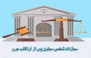 مسئولیت کیفری و مدنی شخص مجنون