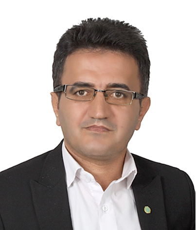 تصویر صادقی