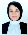 سیده شیما رضائی نیرومند