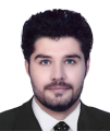محمدجواد محمدی